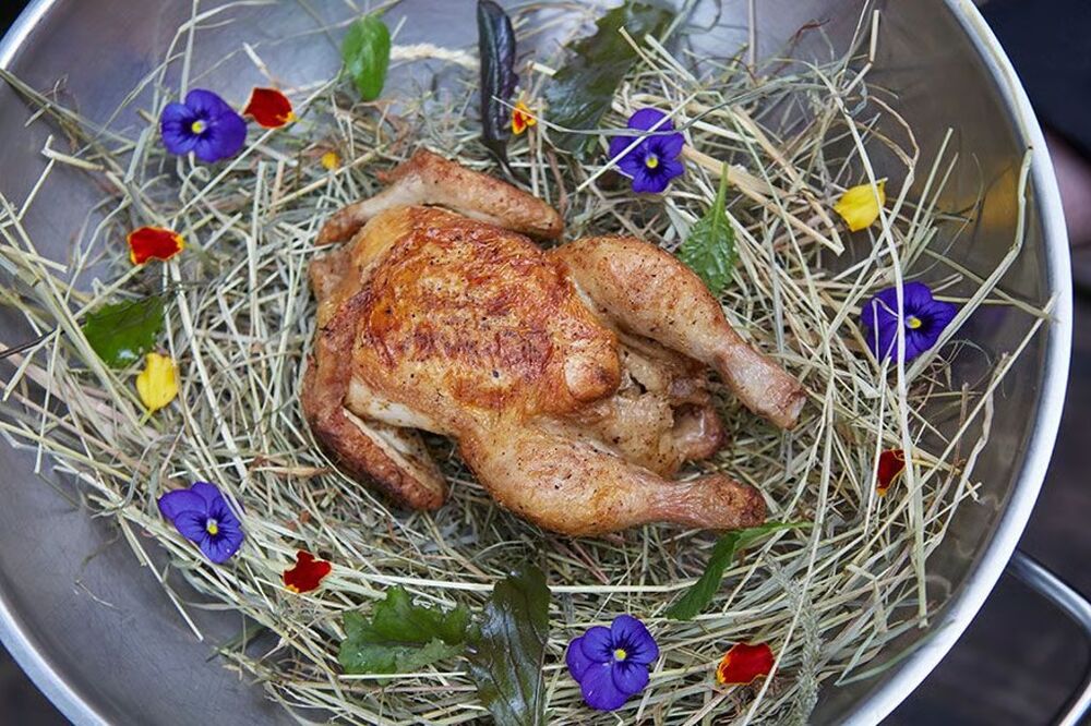 Le Coq Luzern