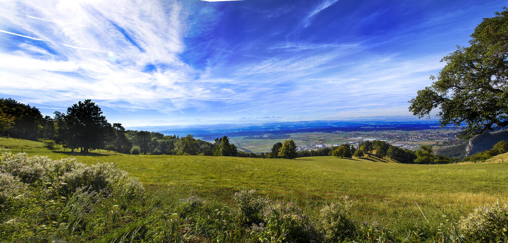 Bergrestaurant zum Roggen